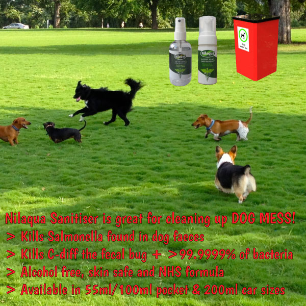 Dog Faeces 1 (1) (1)