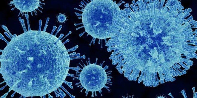 Norovirus 660x330 1 (1) (1)