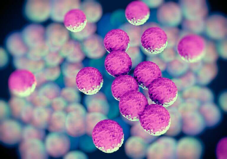 Photodune 7054201 mrsa bacteria or superbug bacteria m 768x538 1 (2) (1)