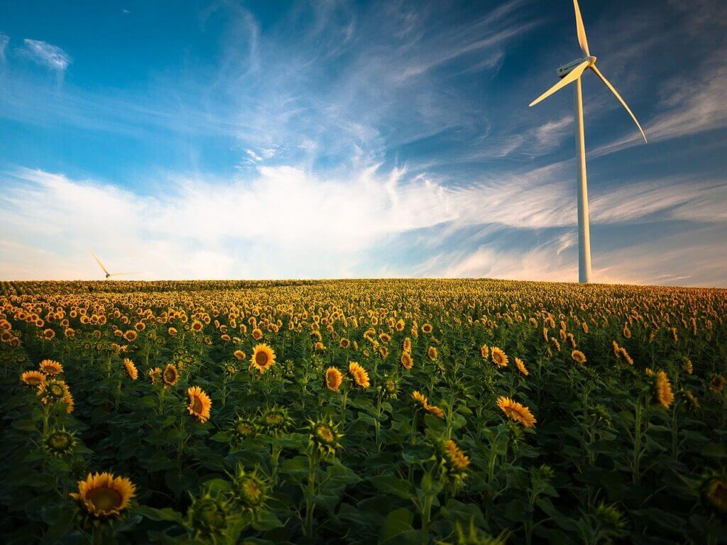 Agriculture 1853323 1280 1 1024x768 (1)