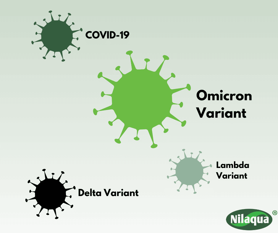Omicron Variant Post 1