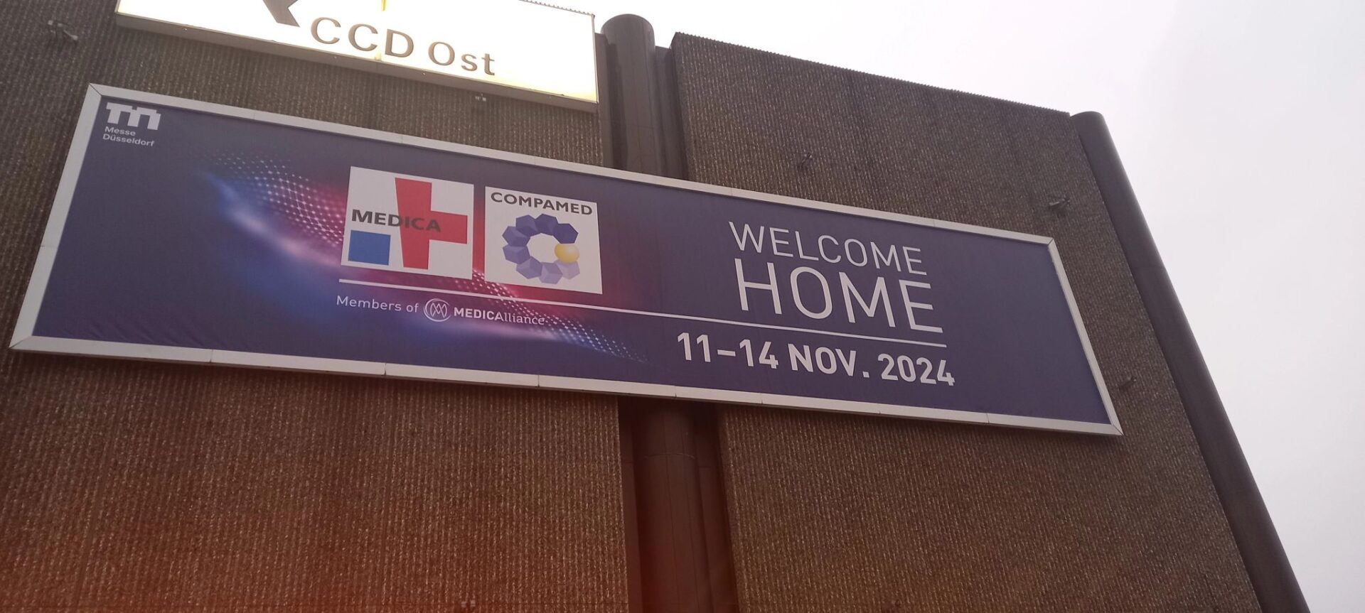 1731311381782 1731311381782