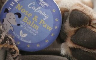 Superdrug nilaqua pets calming nose & paw balm