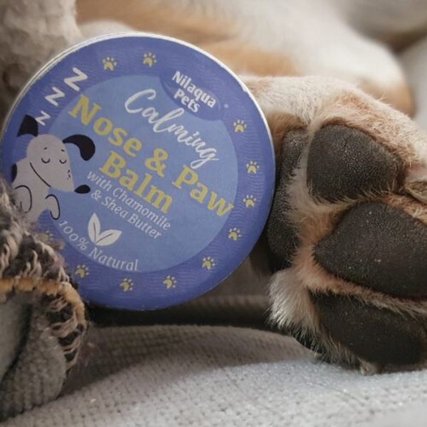Superdrug nilaqua pets calming nose & paw balm